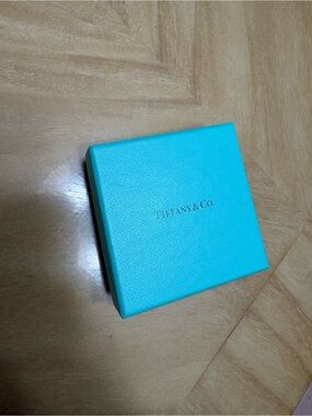 Tiffany & Co. Signature Turquoise Presentation Box